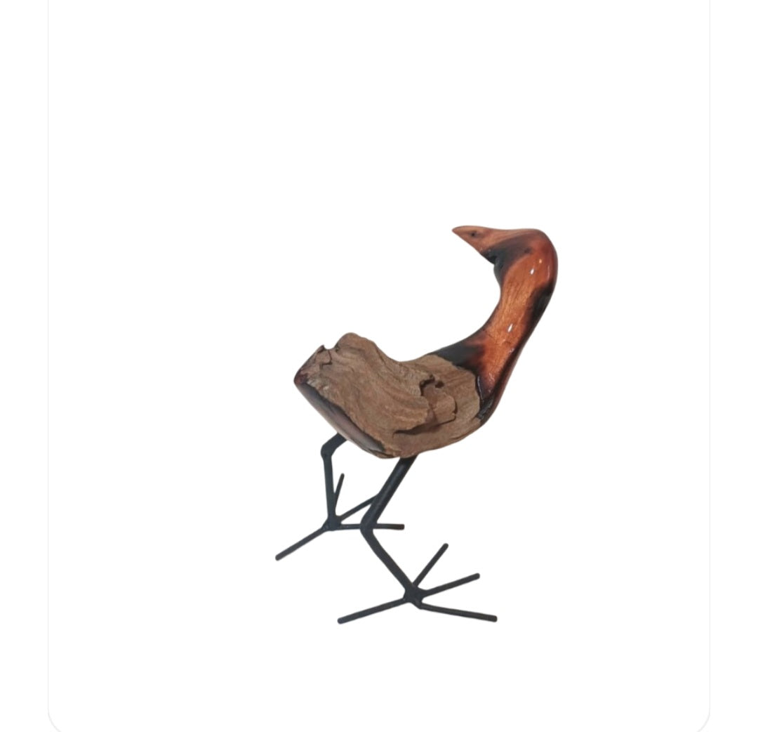 ☆𝗕𝗶𝗿𝗱 𝟬𝟭𝟭